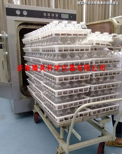马铃薯组培室设计图及组培仪器设备图片