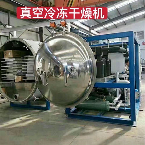 食品真空脱水烘干设备定制海马海产干货
